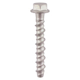 Multifix Masonry Bolts - Hex Head Exterior