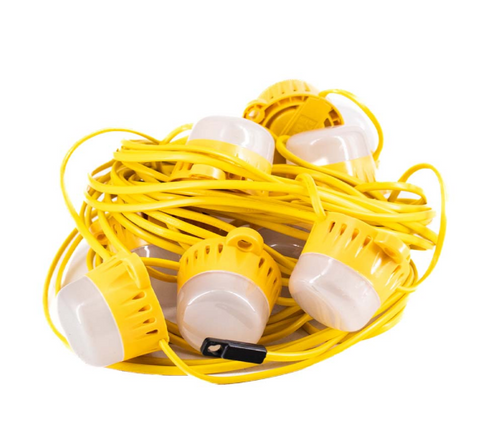 Festoon Light Kit