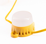 Festoon Light Kit