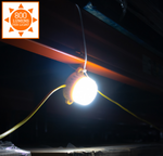 Festoon Light Kit