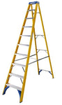10 Tread Fibreglass Step Ladder